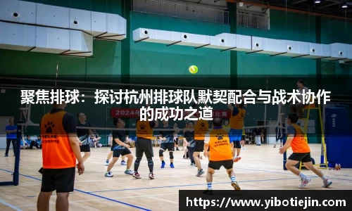 3377体育官网