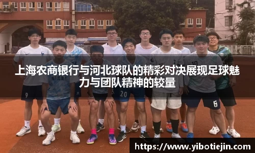 3377体育官网