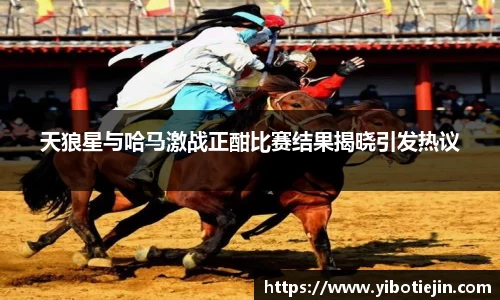 3377体育APP